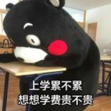 香港留學1年要花多少錢？