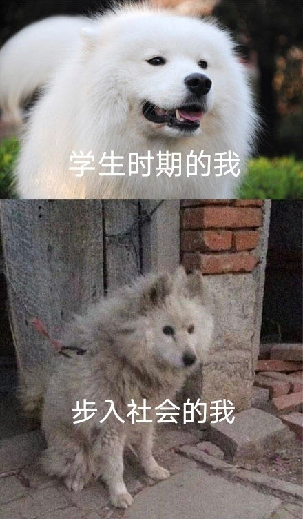 雙非大三，績點低，想去香港留學(xué)來得及嗎？怎么補救？