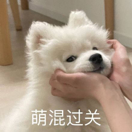 雙非大三，績點低，想去香港留學(xué)來得及嗎？怎么補救？