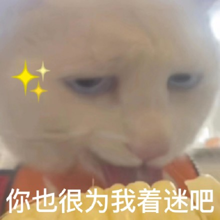 雙非大三，績點低，想去香港留學(xué)來得及嗎？怎么補救？