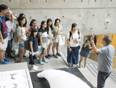 香港大學夏校申請！5月31日截止，有機會拿到港大教授推薦信！