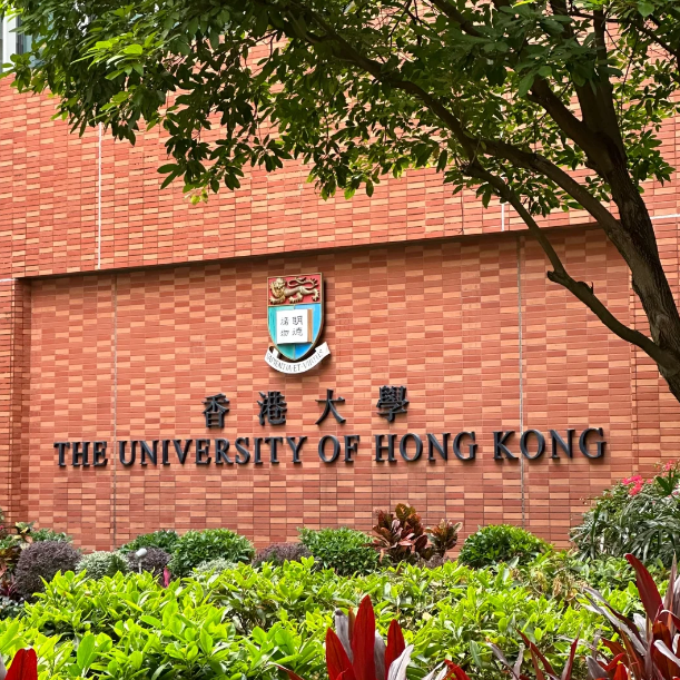 香港大學(xué)25Fall新增11個專業(yè)，盤點申請要求！